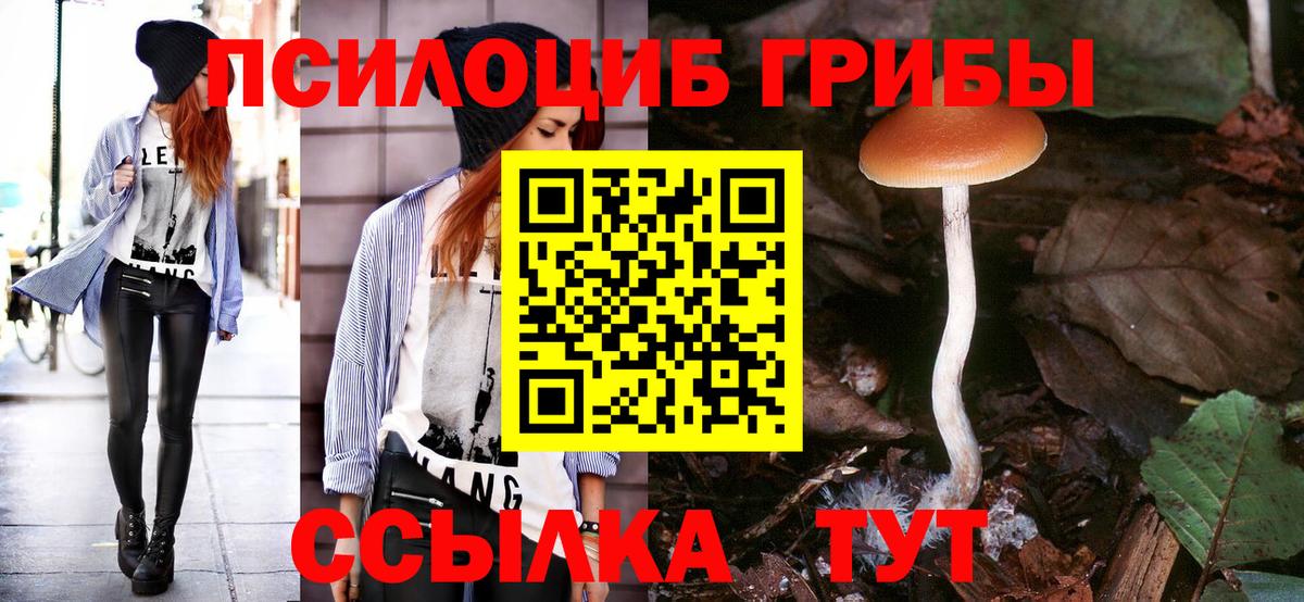 Знаменск  Псилоцибиновые грибы Psilocybe  Вход с VPN 
